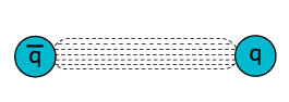 gluons