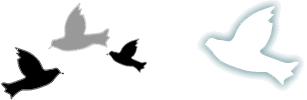 peace doves