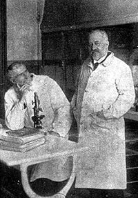 Roux and Calmette